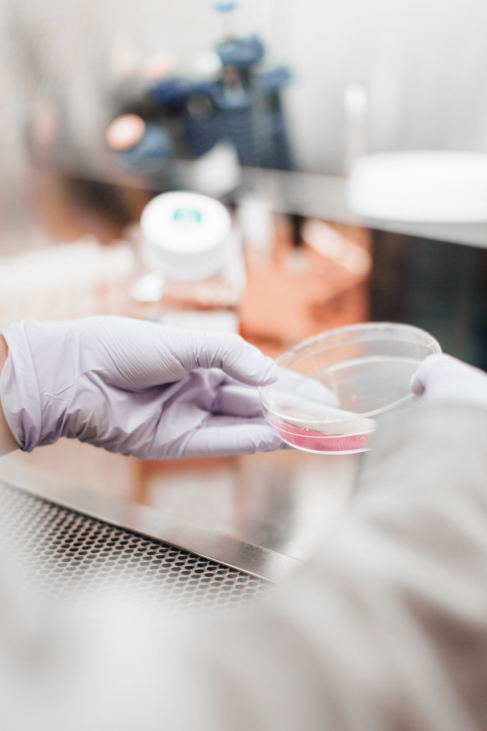 C&eacute;lulas Zumbis